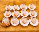 Scallops on shell.webp