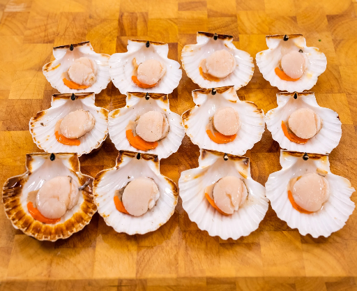 Scallops on shell 5pcs